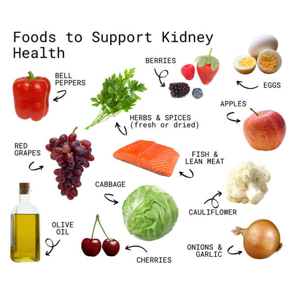 foods supporting kidney health