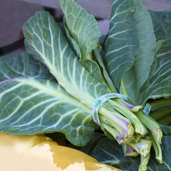 collard green healthy green leafy veg