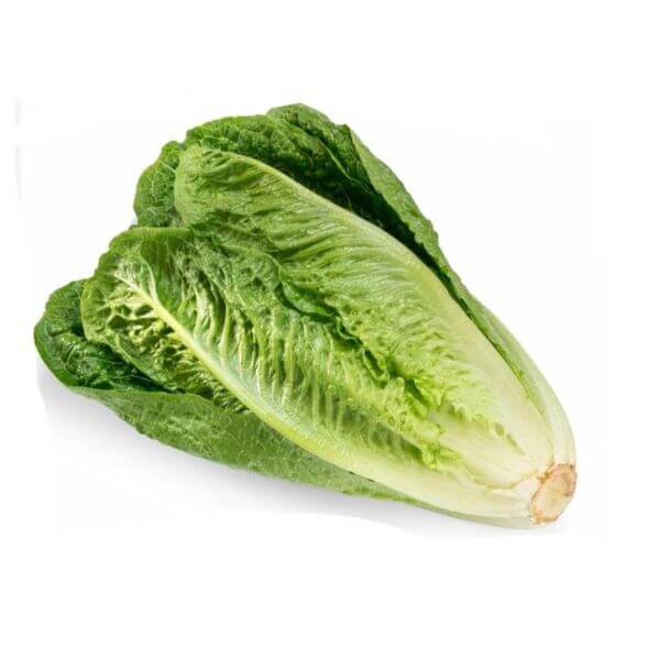 Romaine Lettuce