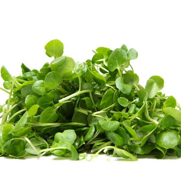 green vegetable Watercress