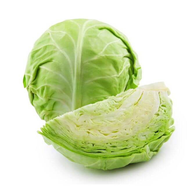 Brassica family vegetable Cabbage