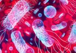 UTI Infection Bacteria