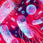 UTI Infection Bacteria