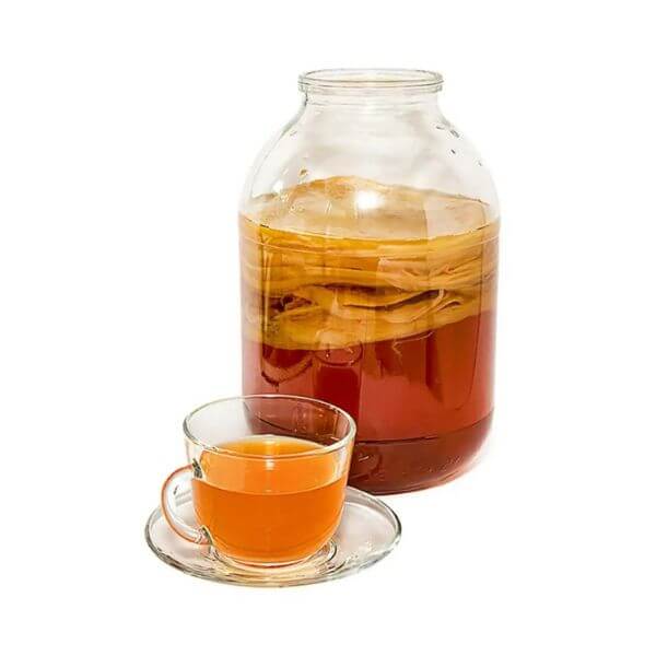 The fermented tea