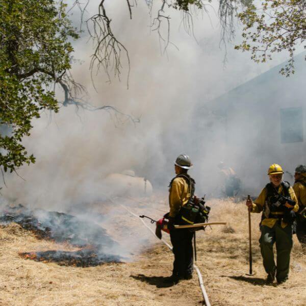 wild fire smoke