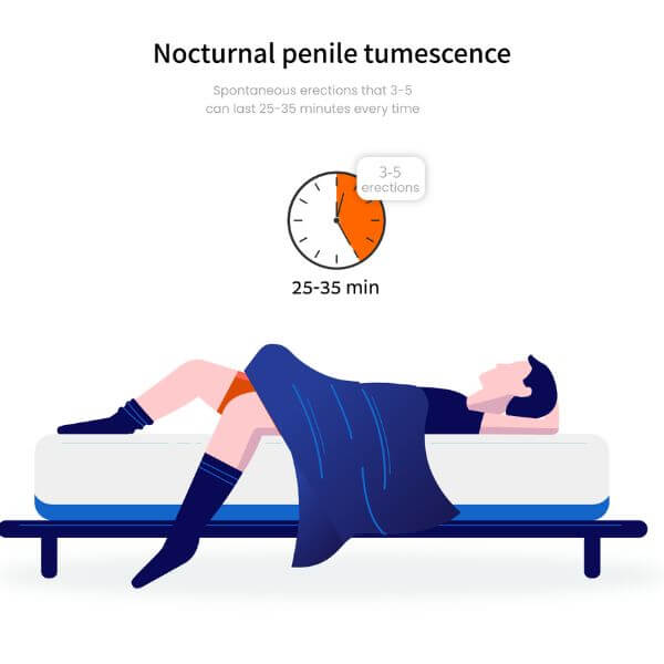 nocturnal penile tumescence