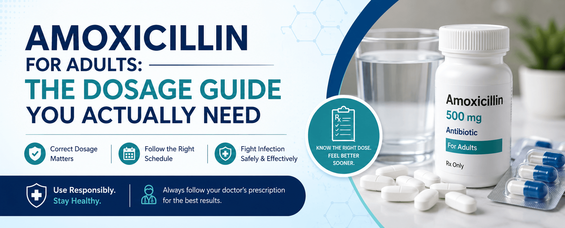 Amoxicillin for Adults